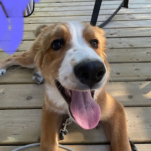 Meet your Posher, Chloe